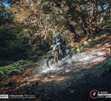 8serres 2018